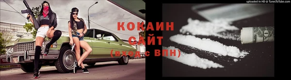 ГАЛЛЮЦИНОГЕННЫЕ ГРИБЫ Лагань